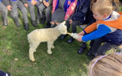 Pre-School:  31.03.25